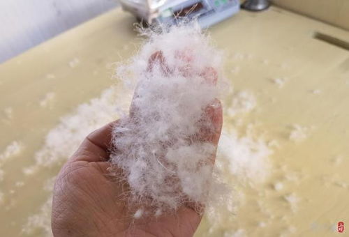 700元與7000元的羽絨服有什么區(qū)別 價(jià)格差異背后,還有產(chǎn)業(yè)發(fā)展之問