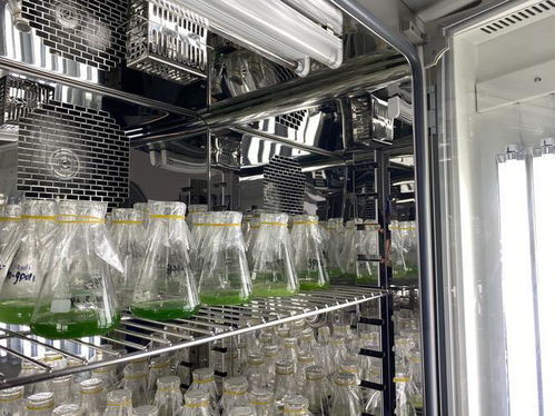 新知 細(xì)胞工廠,萬(wàn)物皆可 造 揭秘神奇的 微生物打工仔